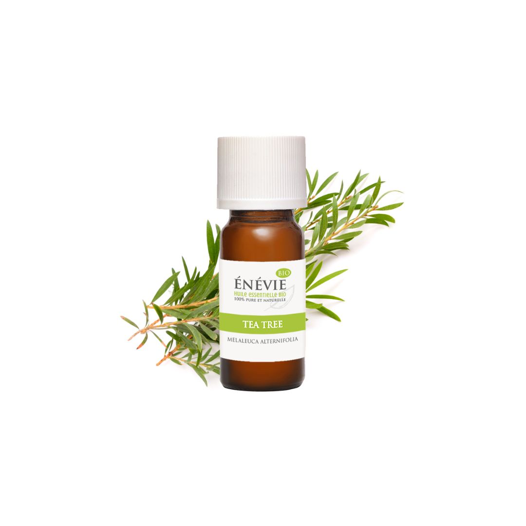 image Huile essentielle de tea tree BIO